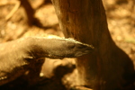 LX-2004-10-03-000-0045
