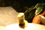 LX-2004-10-03-000-0075